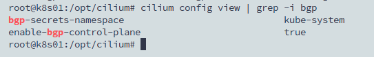 cilium-bgpControlPlane